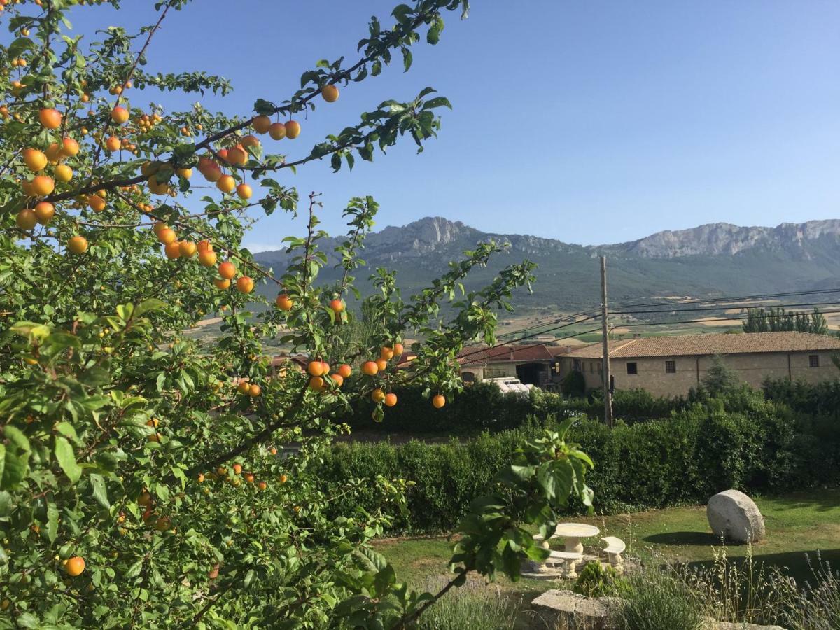 Legado De Zabala, Casa Rural La Guardia 外观 照片